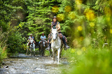 Romania-Transylvania-Hasmas Mountains Ride